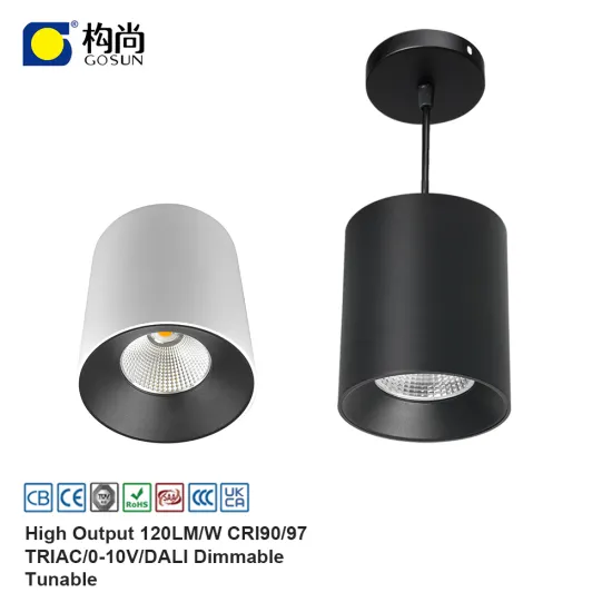 High PF Anti-Glare Flicker-Free Suspended/Surface Mounted Downlight