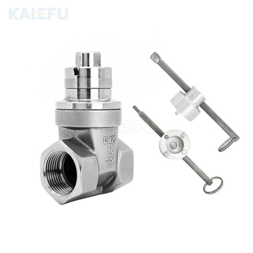 Stainless Steel Magnetic Lockable Gate Valves: 304 and 316 Models for Steam, Oil, and Corrosive Liquids