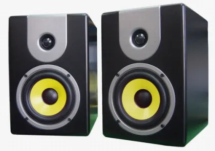 Professional Studio Monitor 