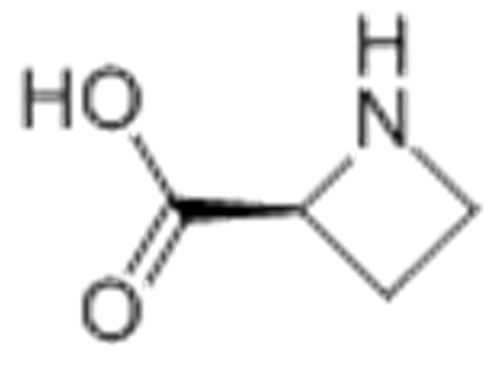 (S)-(-)-2-Azetidinecarboxylic acid CAS 2133-34-8