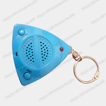 Recordable LED Keychain Recording Key Chain