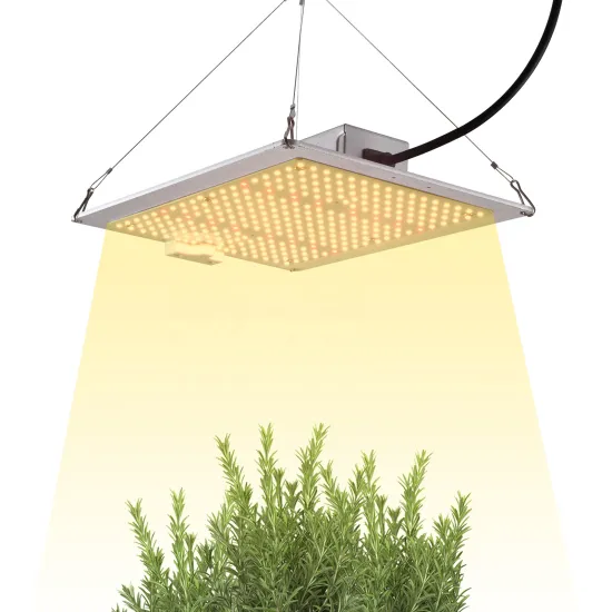 Creative Design 1000W Aluminum Quantum Plate Plant Grow Light with Dimmable Function