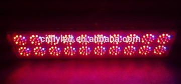 CIDLY LED Powerful high quality Cidly Light Led A20 Indoor grow lamps hydroponics growing system box lighting