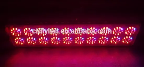 CIDLY LED Powerful high quality Cidly Light Led A20 Indoor grow lamps hydroponics growing system box lighting