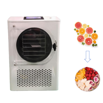 10kg Vacuum Lyophilizer Freeze Dryer Machine for Food Industry