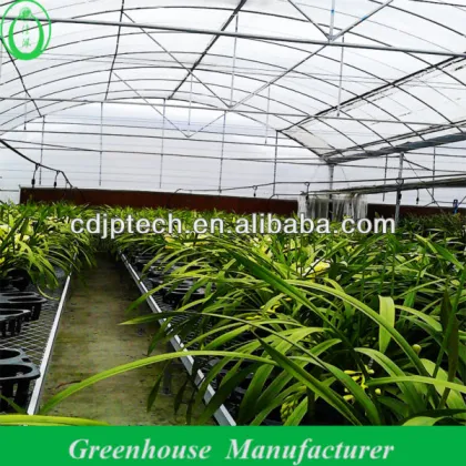 Film Small Nursery Greenhouse