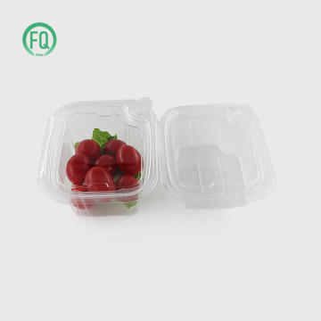 Wholesale Disposable Transparent Plastic Clamshell Food Containers - Fruit Boxes