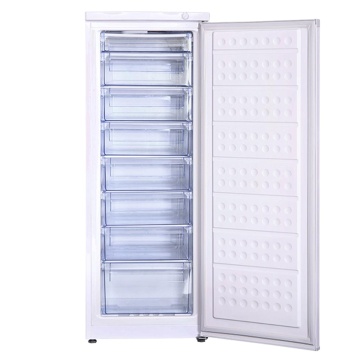 216L Single Door Upright Freezer