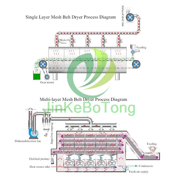 Mesh-Belt-Dryer-Structure