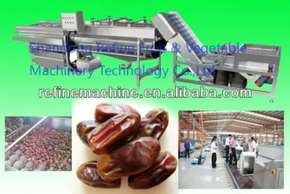 date washing machine/apricot washing machine/fruit washing machine