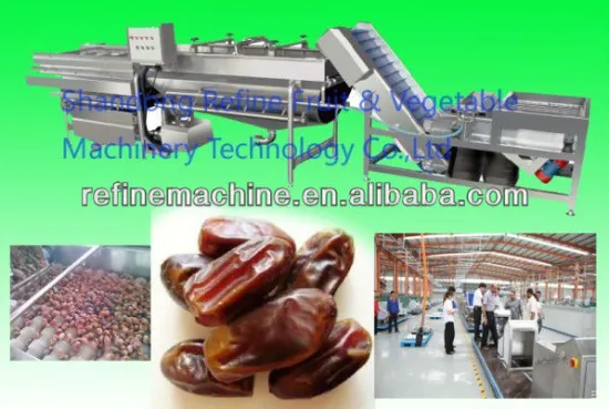 stainless steel date jujube washing machine fruit processing line