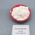 Epi-brassinolide ช่วยเพิ่มผลผลิตพืชในเอเชียตะวันออกเฉียงใต้