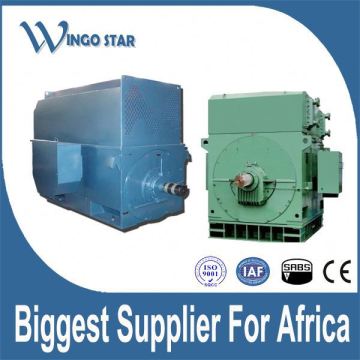 high voltage industrial electric motors