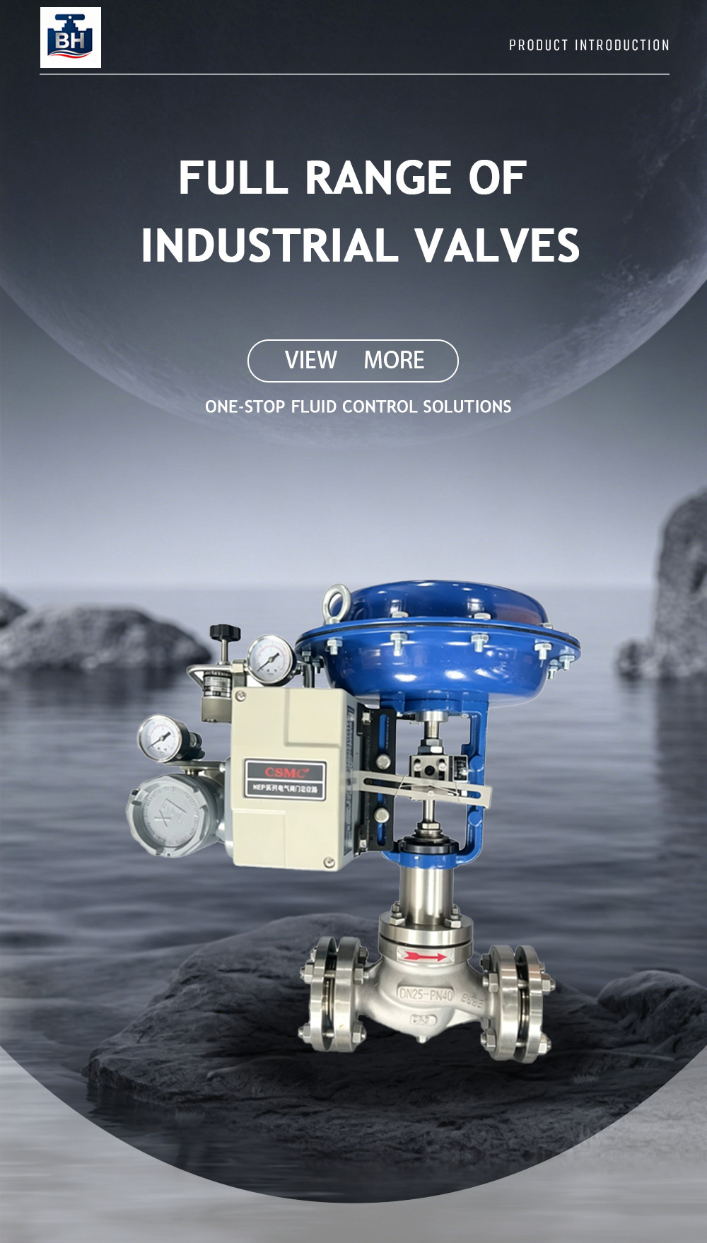 20.Pneumatic Diaphragm Single-Seat Valve 000