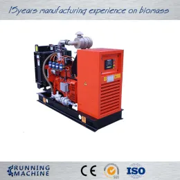 2015 hot sale biomass gas generator with weicai engine