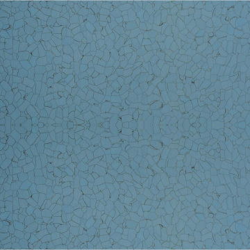 electronic factory anti static flooring HJ-807
