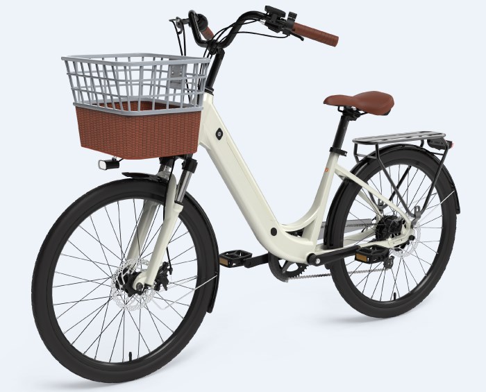 Customized Electric Bike For Ladies