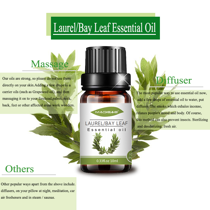 Bulk price Bay Leaf massage Oil For Candle