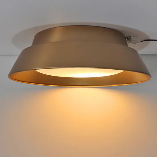 Hilton Garden Inn Led Ceiling Light - Bronze Finish Flush Mount