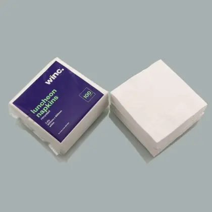 Printed Caspari Napkin Paper