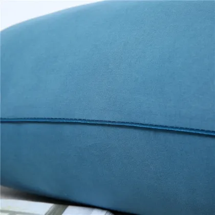 Custom Neck hilton hollow pillow