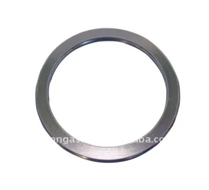 SWG CGI S304 GRAPHITE gasket
