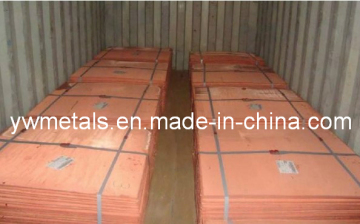 SGS Certified High Quality Copper Cathode 99.99%