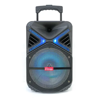 Anker 10 Inch Bass Speaker - Portable Wireless Home Theater Speaker with FM Radio