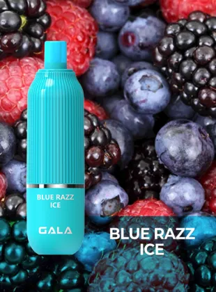 Elf Electric Car/Battery Car/Electric Vehicel