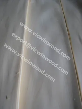Basswood