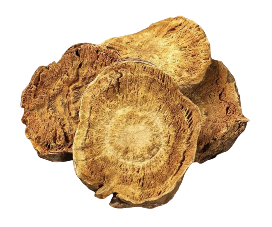 Rheum Palmatum Extract Powder