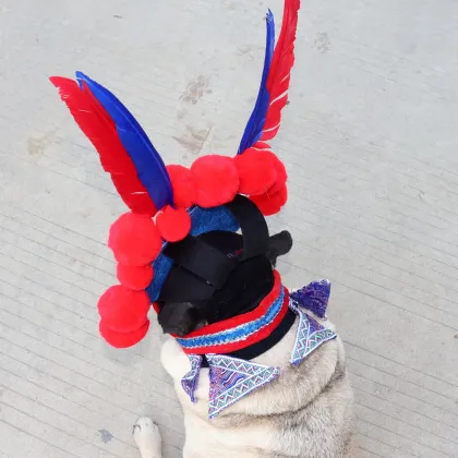 MOFESIPI Cosplay Pet Supplies: Funny Dog Costume - Peking Opera Pet Hat