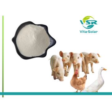 Feed Feed Plant Sterol Ester 10%
