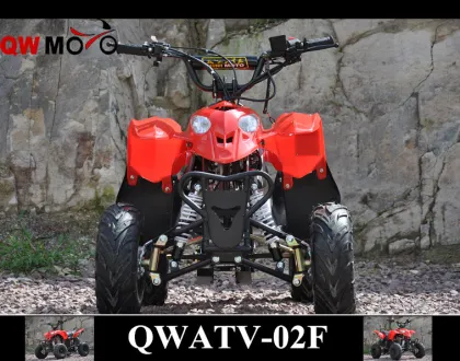 QWMOTO CE 50cc 110cc 125cc China polaris style ATV 110cc Kids polaris ATV