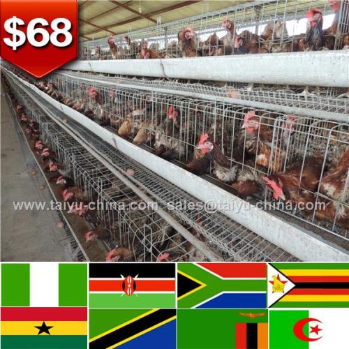 African Poultry House Design Poultry Farm Business Plan In Marathi