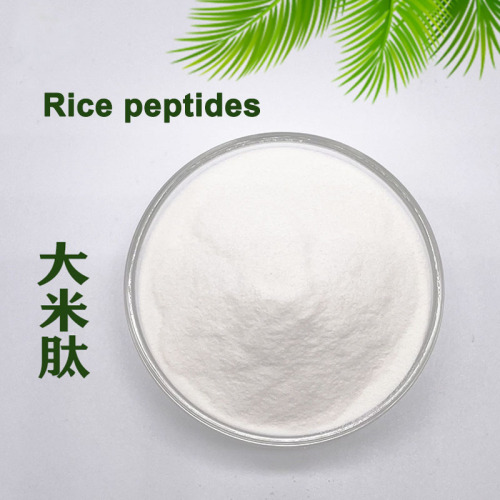 Function Rice Peptides good Rice protein peptide Supplier