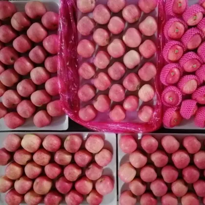 High Sweet Red Fuji Apple