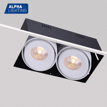 Dongguan LED Light: Two-Lamp Adjustable Rimless Embedded Square Recessed Downlight