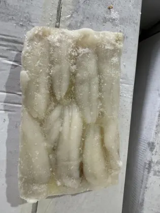 Frozen Calamari Squid Eggs