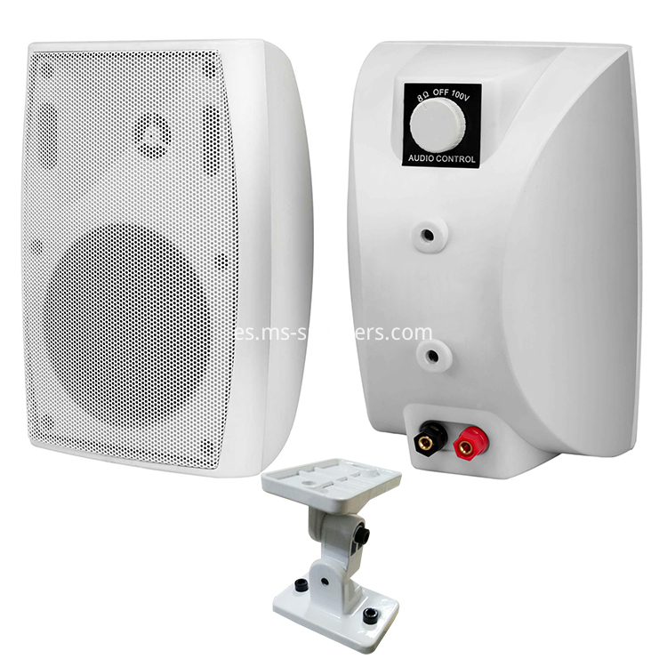 Wall Mounting Speaker