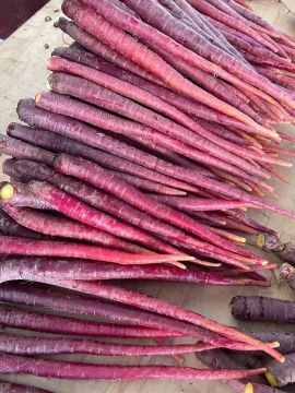 Anthocyanin Rich Purple Jade Carrot