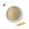 Hot Sale Ginseng Extract Powder
