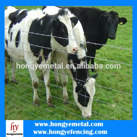 Low Price Hot Dipped Galvanized Grassland Fence