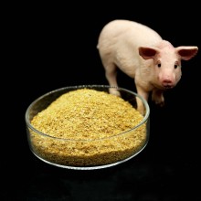 China Corn Gluten Feed 18% Additives For Poultry Feed Manufactory