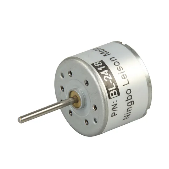 24mm Diameter 30mm Length Micro Brushless DC Motor 12V/24V 8000RPM