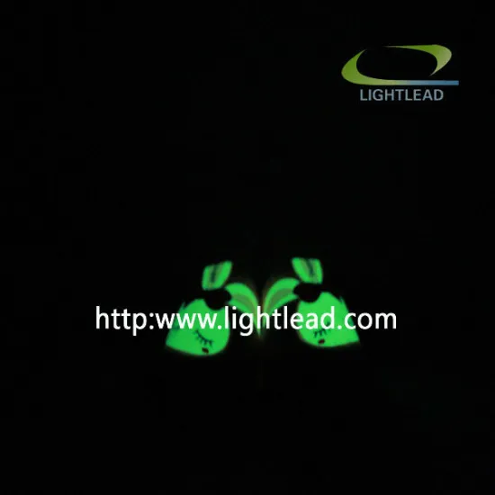 Luminous Slippers luminous flip flop slipper