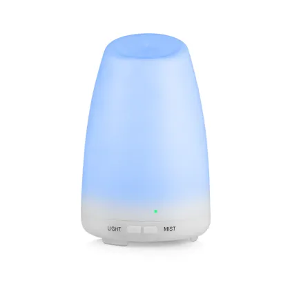 100ml Everlasting Comfort Humidifier for Home House