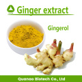 Ginger Extract Gingerol Powder 5% 10%