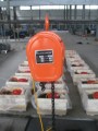 1 ton DHS tipe rantai listrik hoist 110v