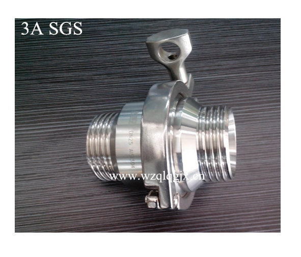 Maled Threaded Check Valve